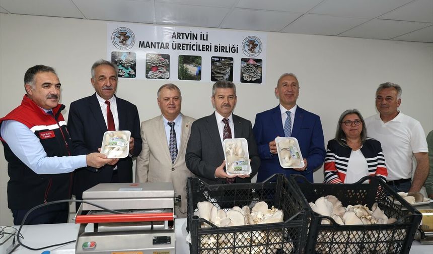 Atıl durumdakü tünel mantar üretim merkezi oldu