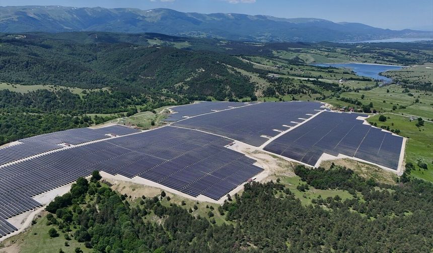 Güneş enerjisi ile tıbbi aromatik bitki üretimi aynı alanda