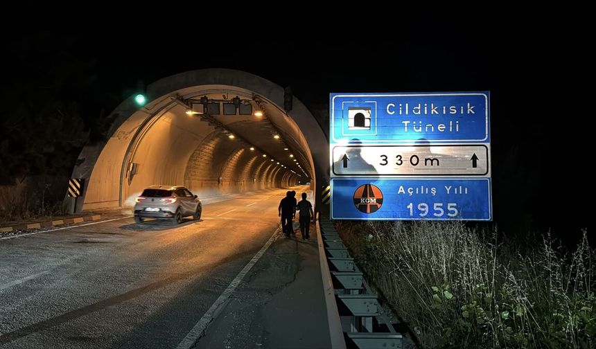 Tünelde otomobilin çarptığı bozayı yaralandı