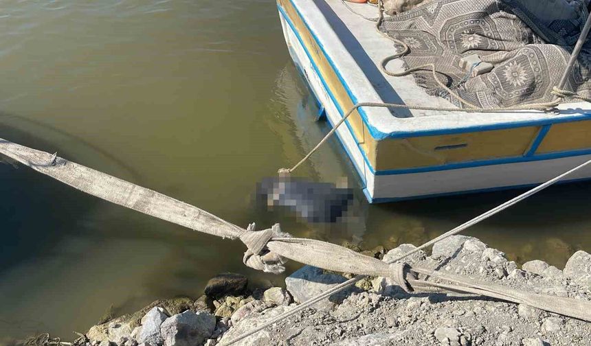 Asi Nehri'nde erkek cesedi bulundu