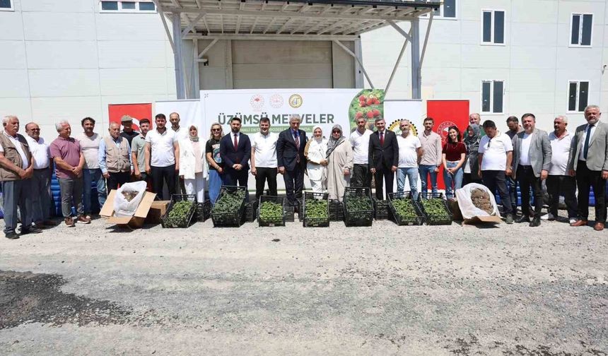 Düzce'de üretilere fide ve damla sulama sistemi desteği