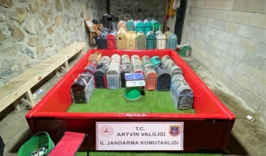 Horoz dövüşüne jandarma baskını
