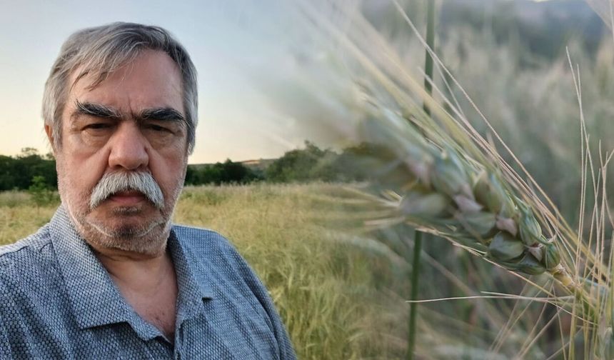 Prof. Dr. Emin Kuru: “Türkiye ekmeklik hububat politikasını değiştirmelidir!”