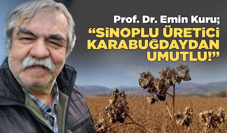 Sinop’ta karabuğday tarımı bölgesel dönüşüme katkı sağlayacak!