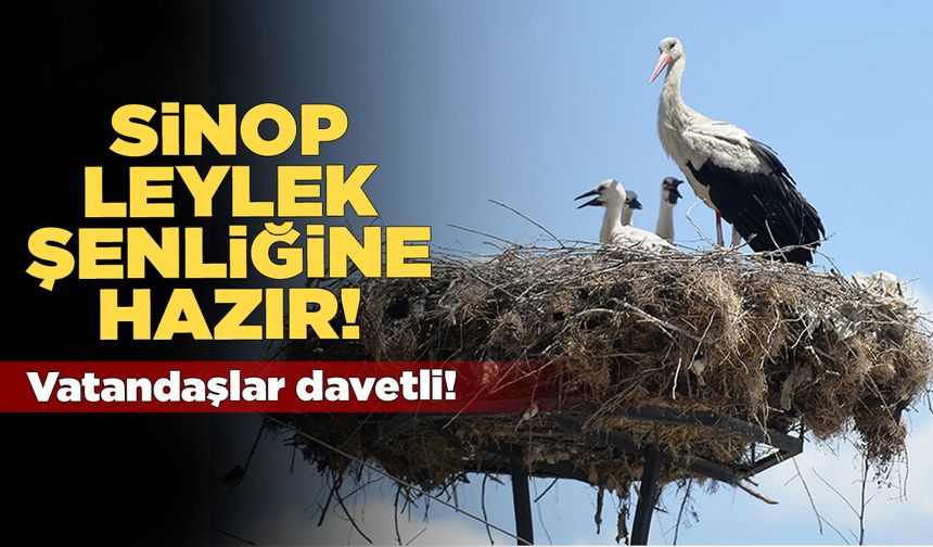 Sinop'taki leylek şenliği bölgesel kalkınmayı destekleyecek!