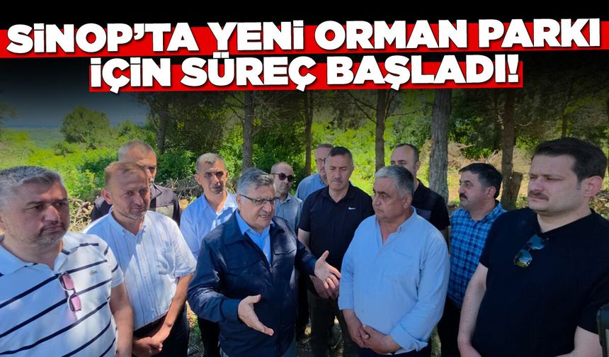 Ücretsiz Olacak: Sinop'ta Yeni Orman Parkı İçin Süreç Başladı