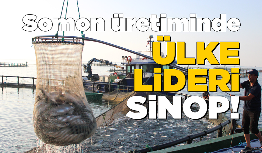 Sinop, Türk somonu üretiminde ülkede ilk sırada