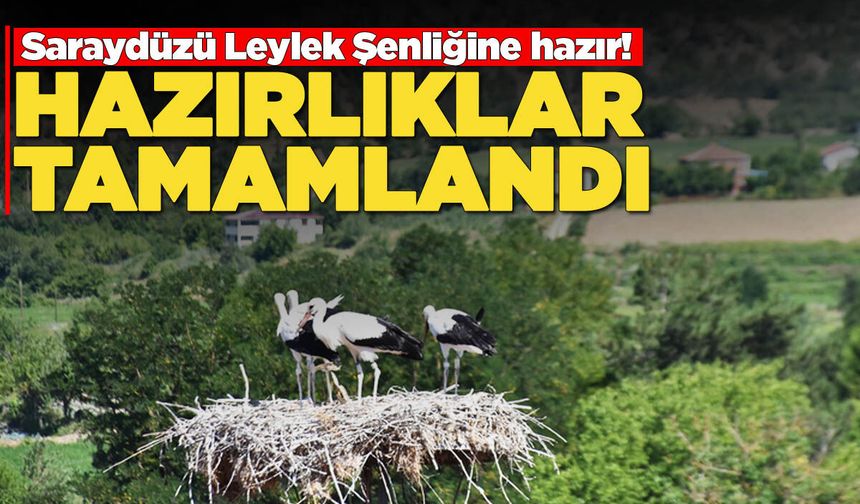 Leylek Şenliği'ne sayılı günler kaldı!
