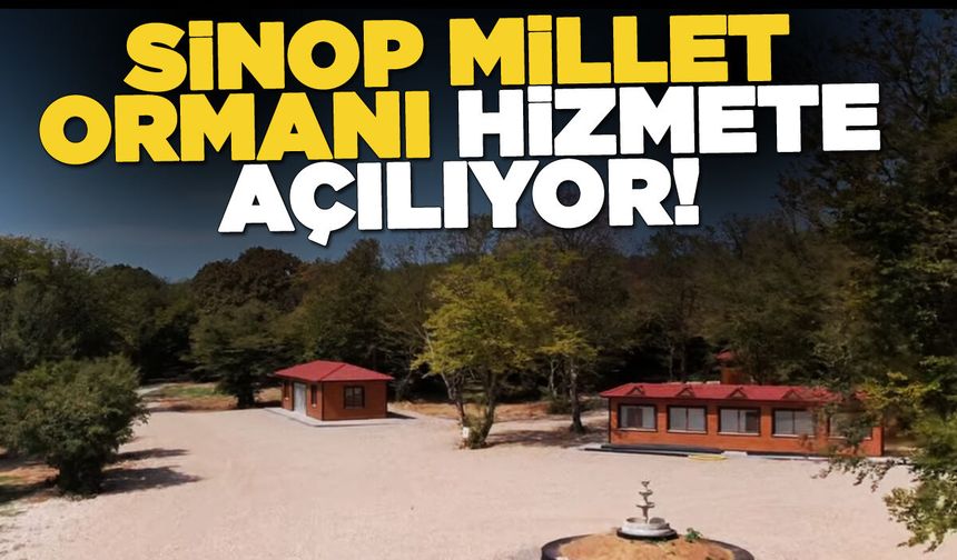Sinop Millet Ormanı vatandaşın hizmetine açılıyor