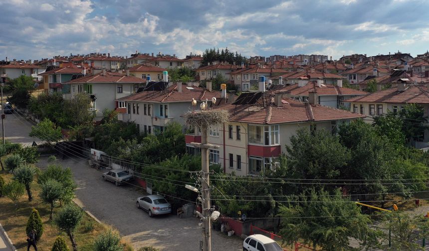 Leylekler Kastamonu kent merkezini mesken tuttu
