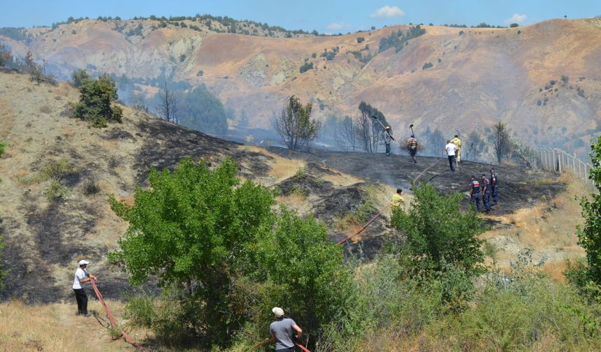 Ormanlık alanda yangın: 60 ardıç ağacı zarar gördü