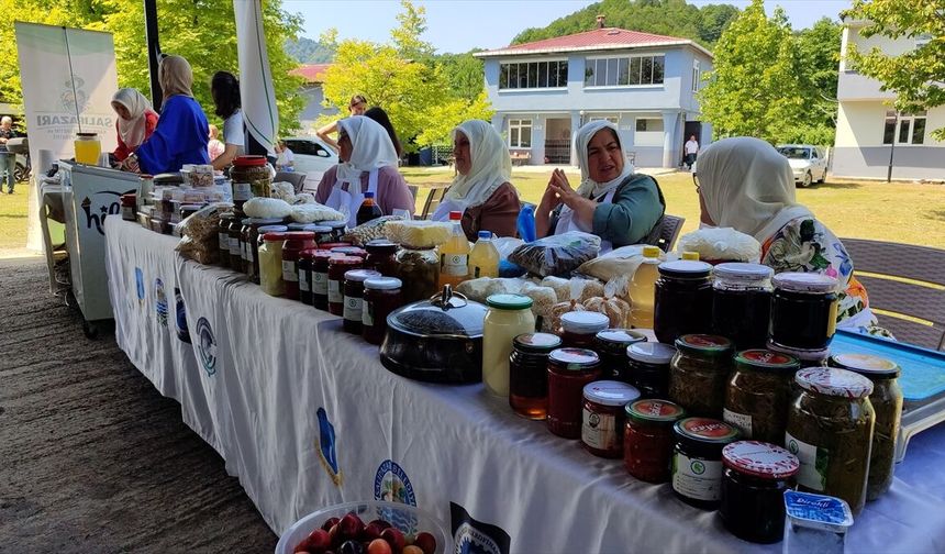 Salıpazarı kestane balında hasat dönemi başladı