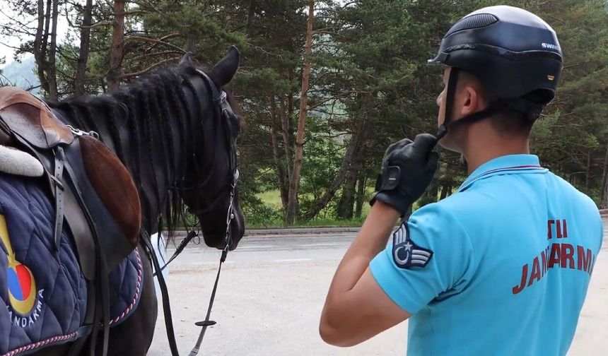 Bolu'da atlı jandarma timleri görev yapıyor