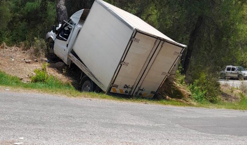 Kamyonet ağaca çarptı: 1 ölü, 1 yaralı