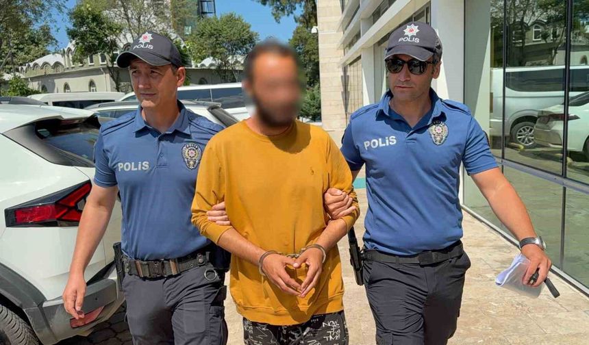 Kediye tekme atan şahıs tutuklandı