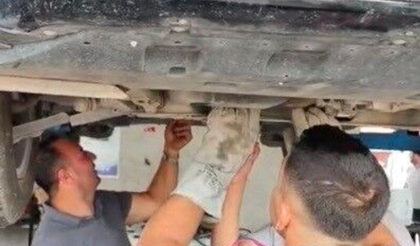 Otomobilin motoruna sıkışan yavru kedi kurtarıldı