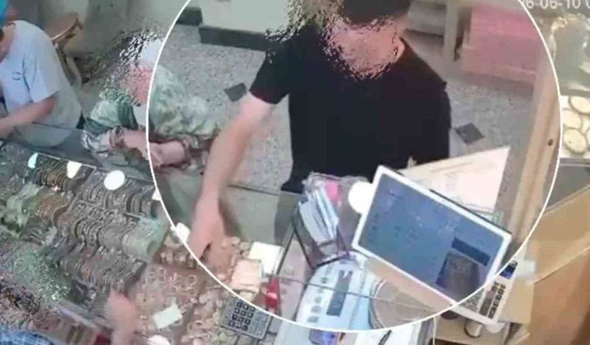 Polis tatilci gibi göründü, dolandırıcılık şebekesini çökertti