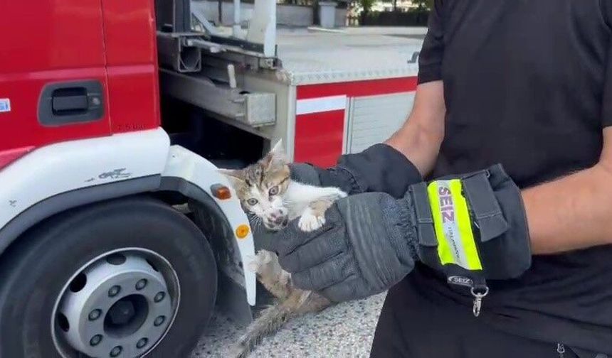 Saatlerce ağaçta bekledi