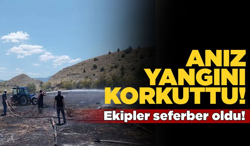 Alevler eve ulaştı, ekipler seferber oldu