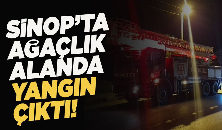 Sinop'ta deniz kenarındaki ağaçlık alanda yangın