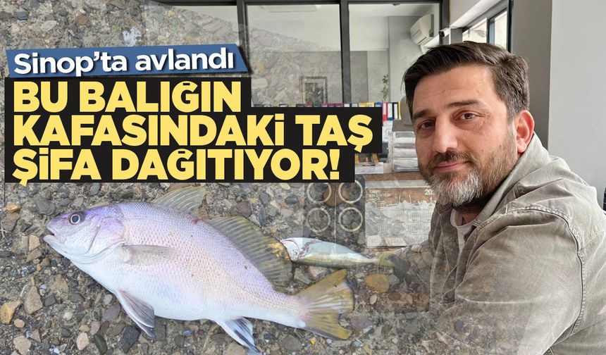 Sinop'ta Yakalandı. Eşkinanın Sırrı Kafasındaki Taşta!