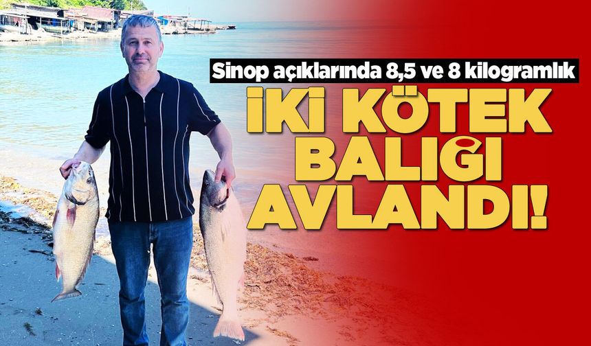 Sinop açıklarında iki kötek balığı yakalandı