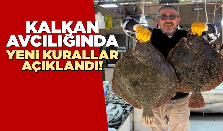 Kalkan avcılığında yeni kurallar ve kotalar açıklandı