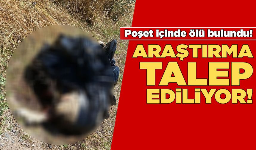 Sinop'ta şoke eden olaya araştırma isteniyor!