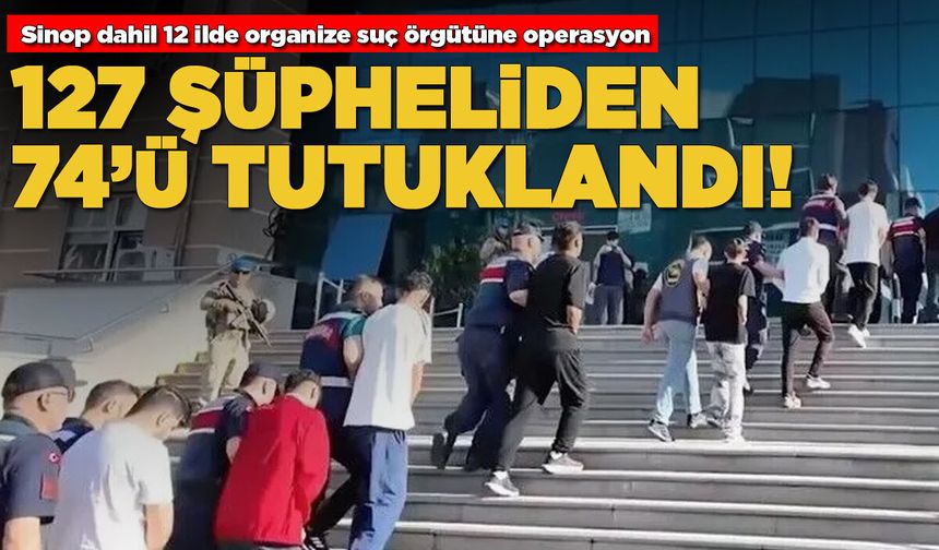 Sinop dahil 12 ilde organize suç örgütüne operasyon