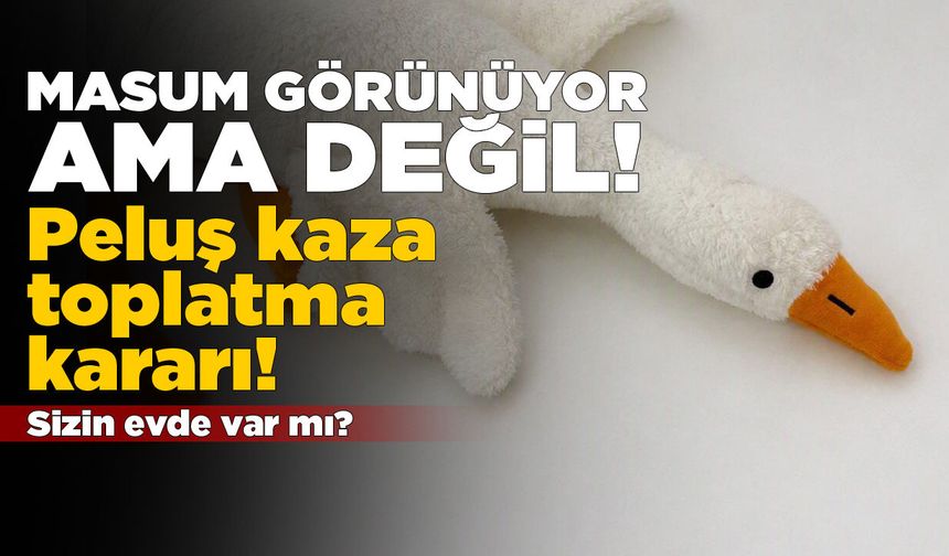 'Peluş kaz' oyuncağa toplatma kararı