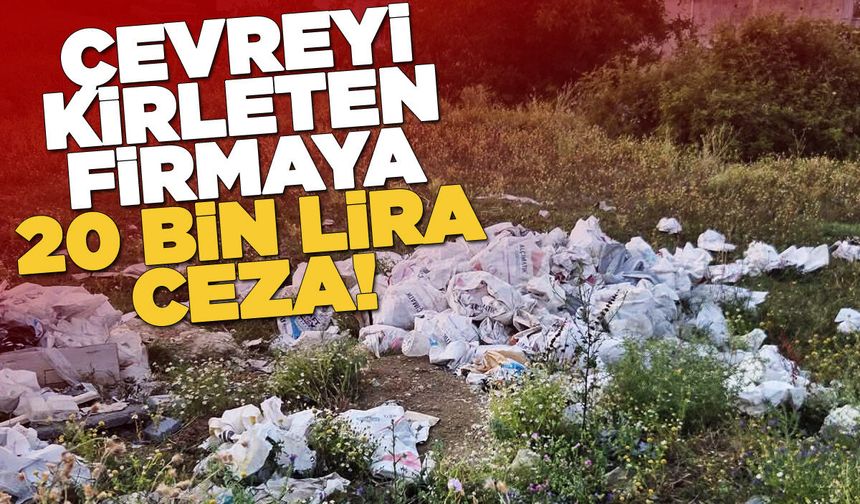 Gerze'de çevreyi kirleten firmaya ceza uygulandı