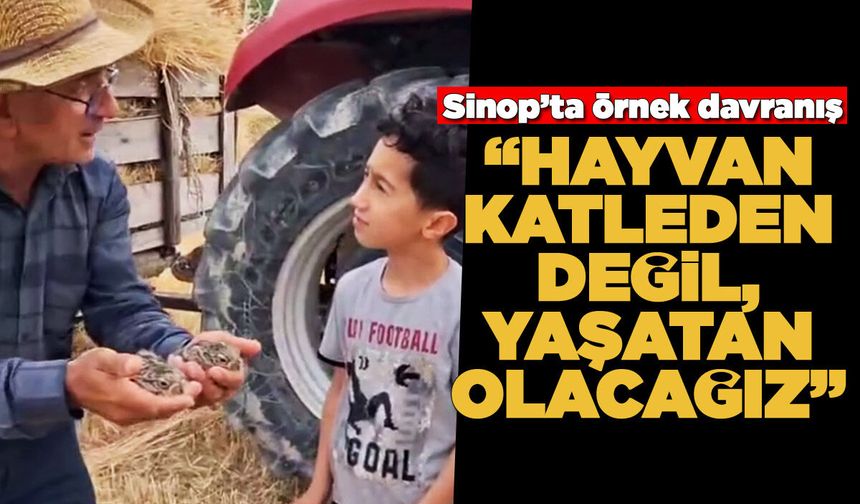 Buldukları yavru tavşanları doğaya bıraktılar