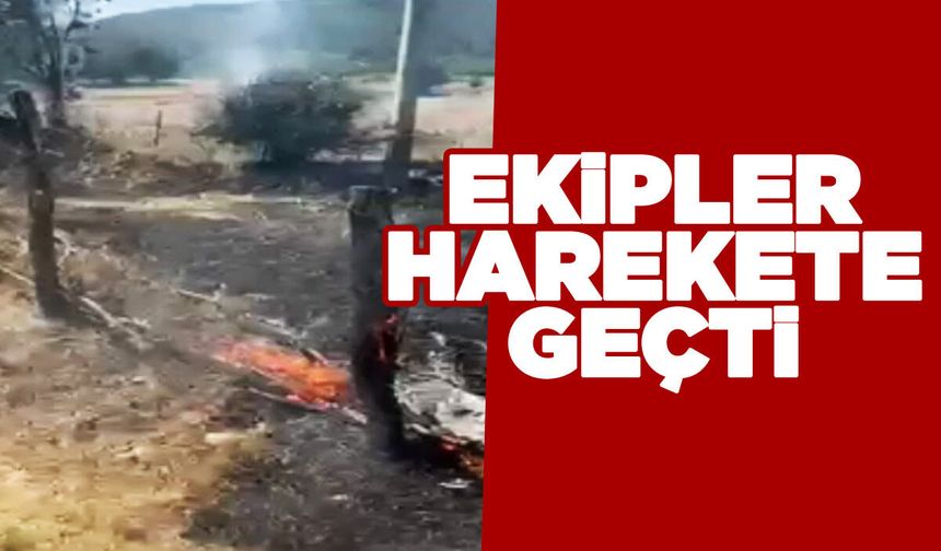 Örtü yangınına müdahale ediliyor!