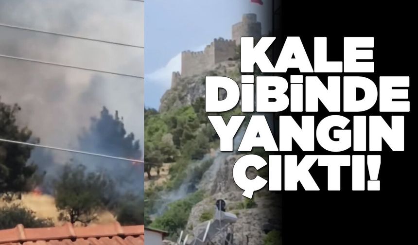 Kale eteğinde yangın paniği!