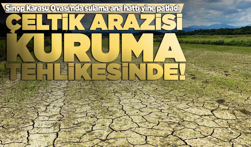Sinop Karasu Ovası'nda sulama ana hattı yine patladı