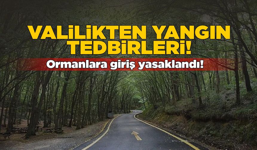 Sinop'ta orman yangınlarına karşı tedbirler açıklandı!