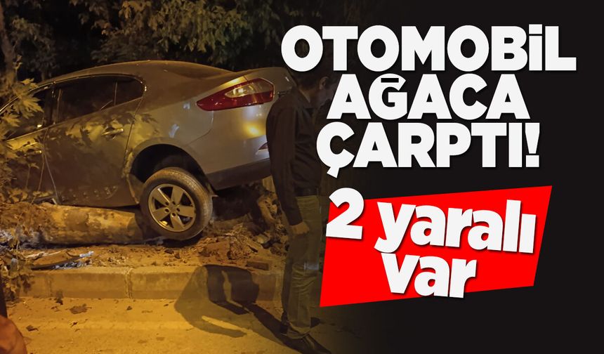 Kontrolden çıkan otomobil ağaca çarptı