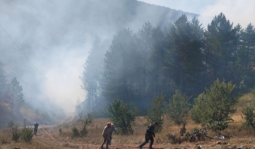 Kastamonu'da orman yangını çıktı