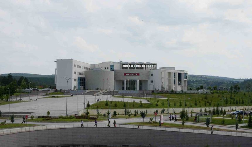 Kastamonu Üniversitesi'nin 4 projesi desteklenecek