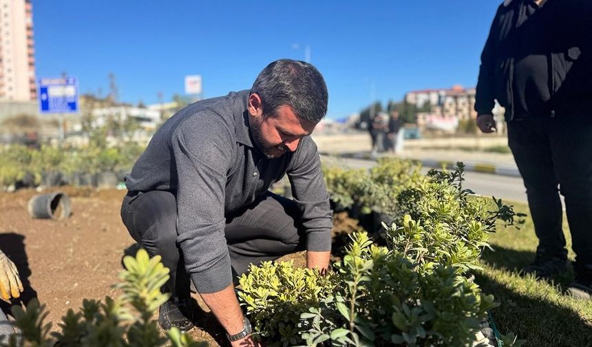 Yeşil seferberlik: 58 bin ağaç ve çiçek toprakla buluştu