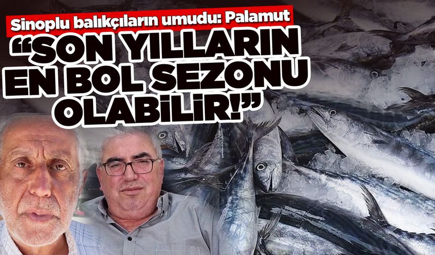 Sinoplu balıkçıların umudu: Palamut!