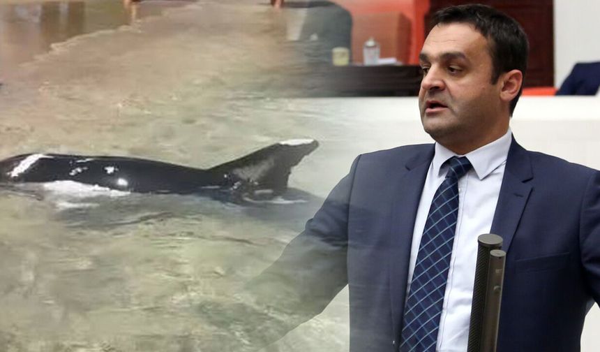 Karadeniz: "Sinop bir kez daha yüreğinin güzelliğini gösterdi"
