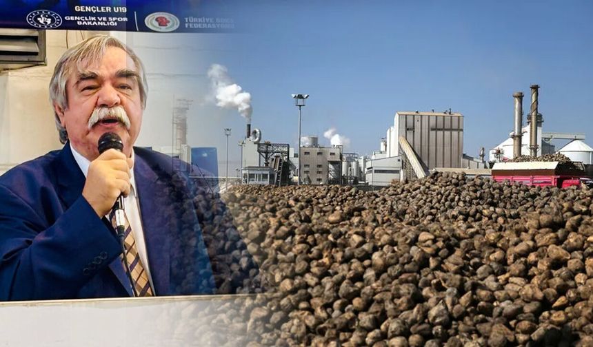 Sinoplu akademisyen eleştirmişti: Şeker piyasasında dikkat çeken değişiklik