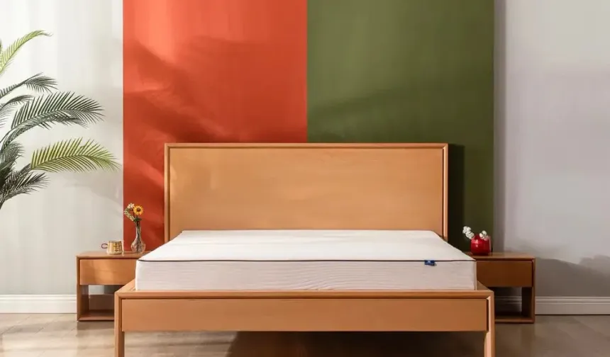 En İyi Lateks Yatak Markası Seçme Tüyoları
