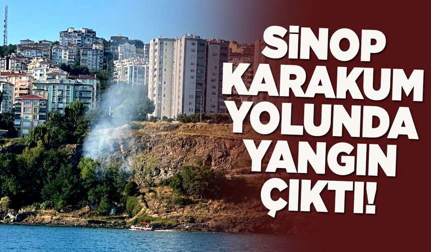 Sinop Karakum yolunda otluk alanda yangın!