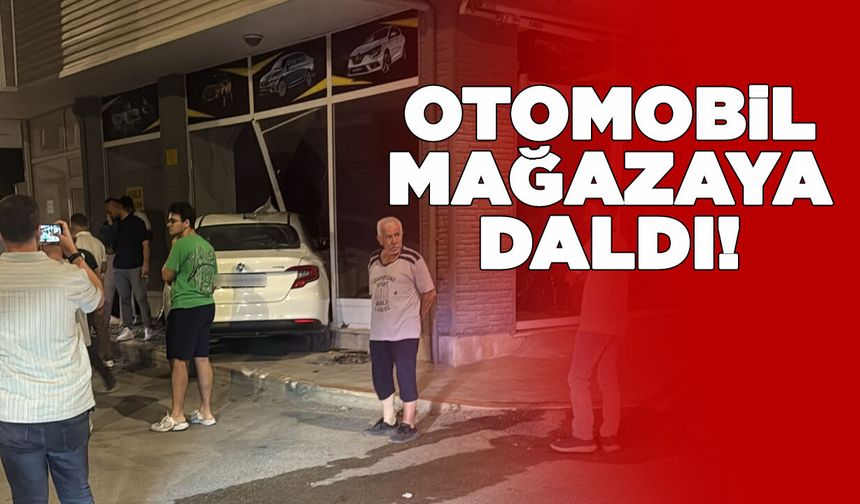 Otomobil mağazaya daldı