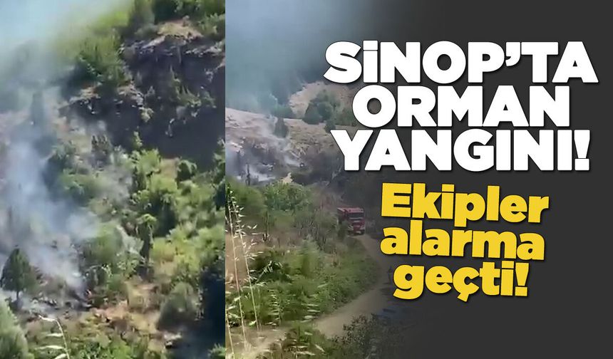 Sinop’ta çıkan orman yangını ekipleri harekete geçirdi