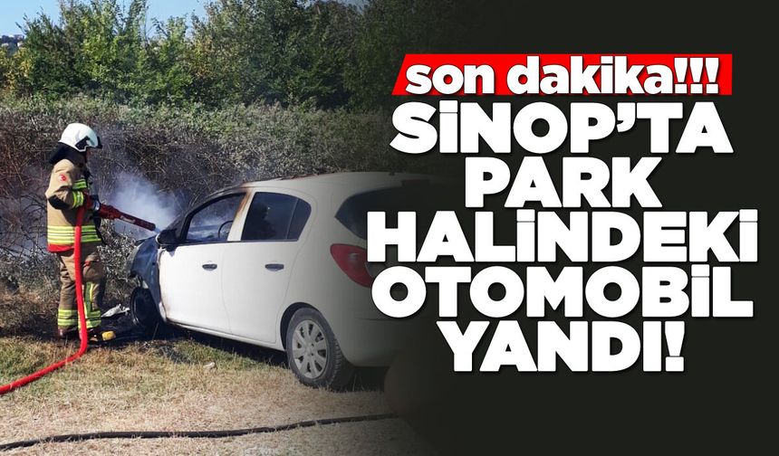 Sinop’ta park halindeki araç yandı