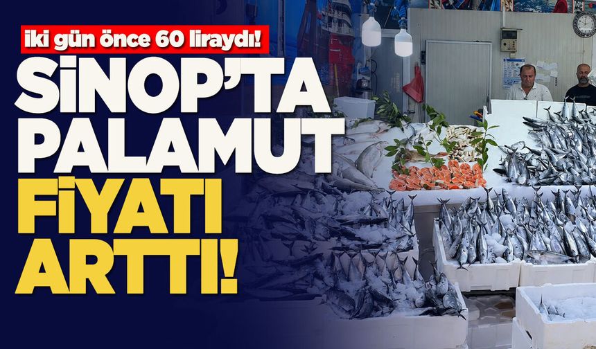 Sinop’ta palamut fiyatları fırtınayla yükseldi