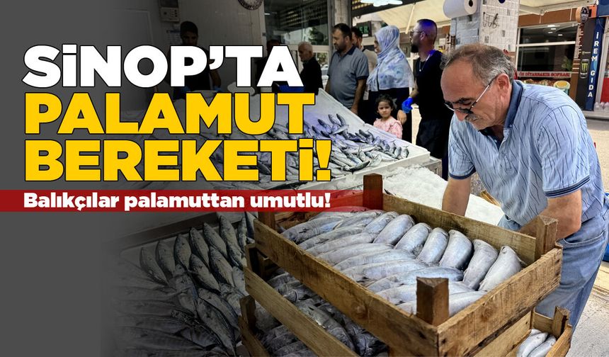 Sinop'ta palamut sezonu bereketli başladı